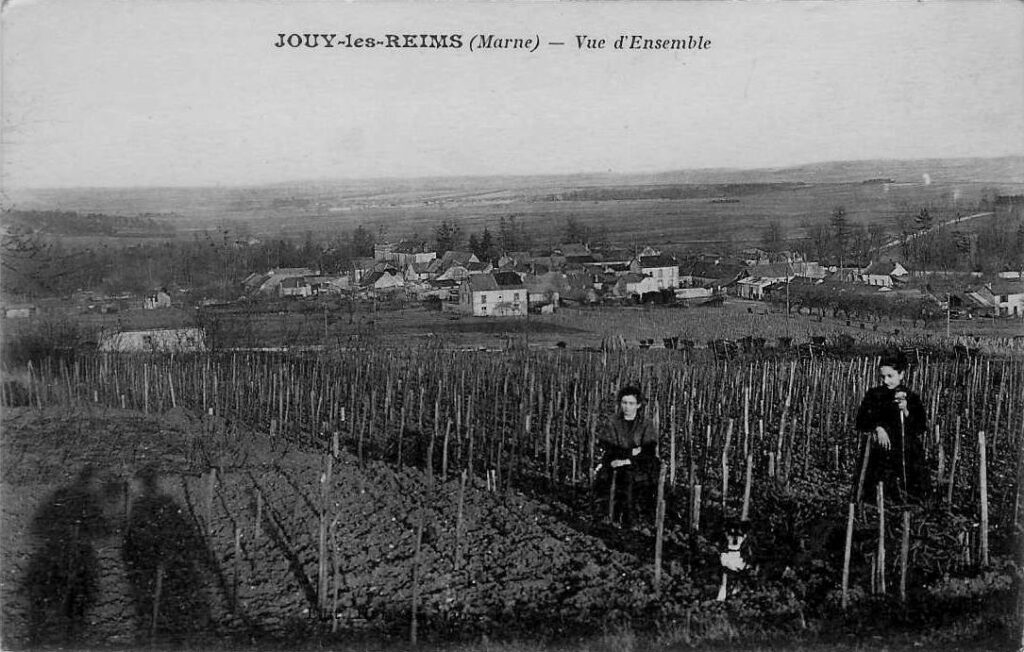 Photo ancienne du vignoble de Jouy-Les-Reims